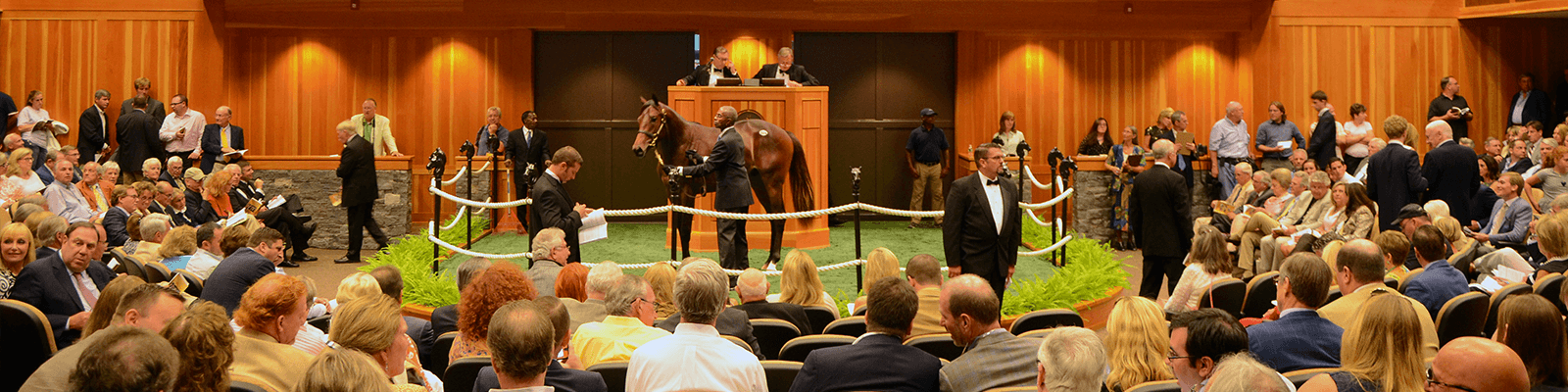 New York Bred Yearlings Catalogue Now Available FasigTipton
